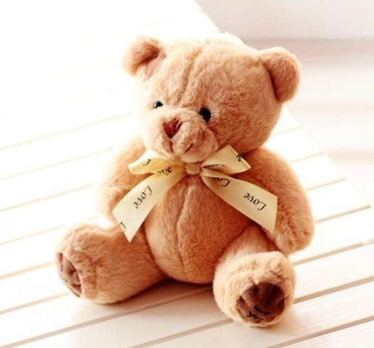 bear product